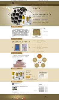 網(wǎng)頁設(shè)計(jì)指南 從初稿到專業(yè)作品的進(jìn)階之路