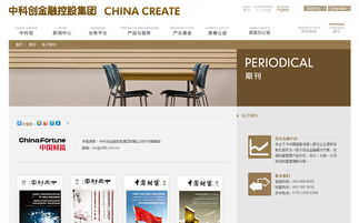中科創(chuàng)金融控股集團(tuán)官方網(wǎng)站設(shè)計(jì)制作成功案例