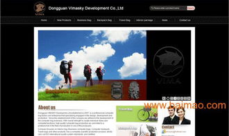 東莞箱包網站建設與設計的全方位指南